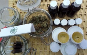 Slovenski konopljin socialni klub