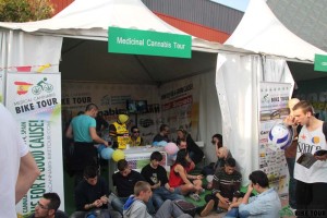 mcbt-sotor-na-spannabisu